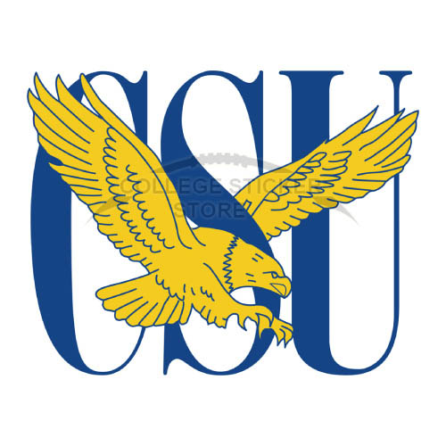 Customs Coppin State Eagles Iron-on Transfers (Wall Stickers)NO.4189